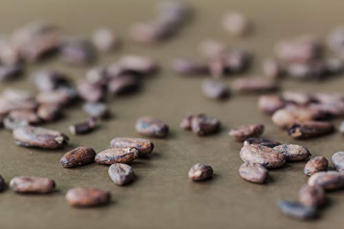 K'ul Chocolate Bars | 5 Pack Pure Dark Chocolate 80% Cacao | Organic, Vegan Chocolate, Gluten Free, Soy Free, Non-Gmo, Bean-To-Bar, Fair Trade Dark Chocolate #TOP6