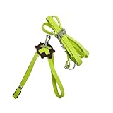 Schildkrötenleine strapazierfähig für drinnen draußen bequemes Reptilienzubehör mit Quietschball lichtreflektierend robust praktisch für Spaziergänge (Green, 45cm)