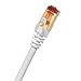 Cat7 Ethernet Cable - 25 ft - RJ45 Connector - Double Shielded STP - 10 Gigabit 600MHz - Cat 7 Premium High Speed Network Wire Patch Cable (7.5m) LAN Cord - 25 Feet
