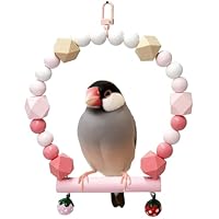 Amazon | moin moin 小鳥 インコ 止まり木 スタンド パーチ フープ 輪