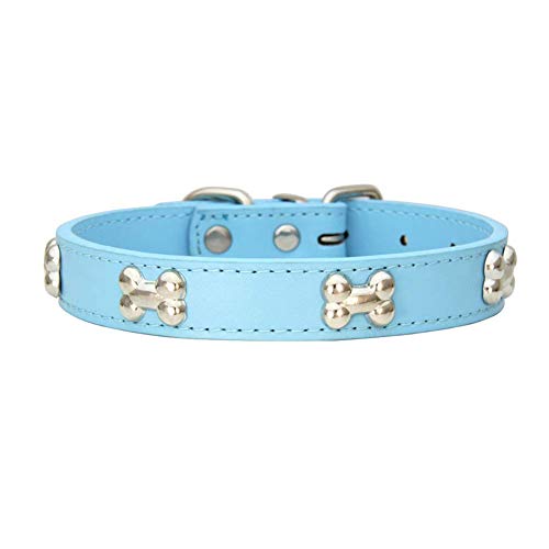 Collier de chien cuir véritable XS bleu résistant pour chien actif