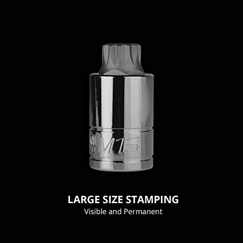 Image of Capri Tools Stubby XZN Triple Square Bit Socket Set, 10-Piece, XZN Bit Set /Stubby Length (CP30350)