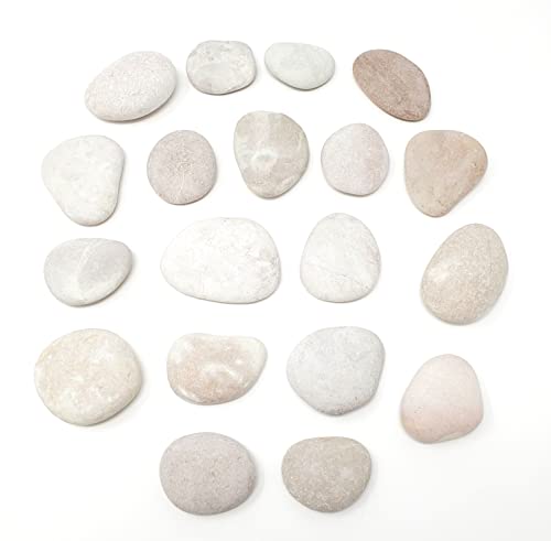 Capcouriers Rocks for Painting 20 Painting Rocks for Rock Painting - Thumbnail 4