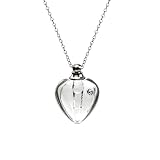 Blood Vial Necklace Stainless Steel Glass Heart Vial Perfume Bottle Cremation Urn Pendant Necklace f