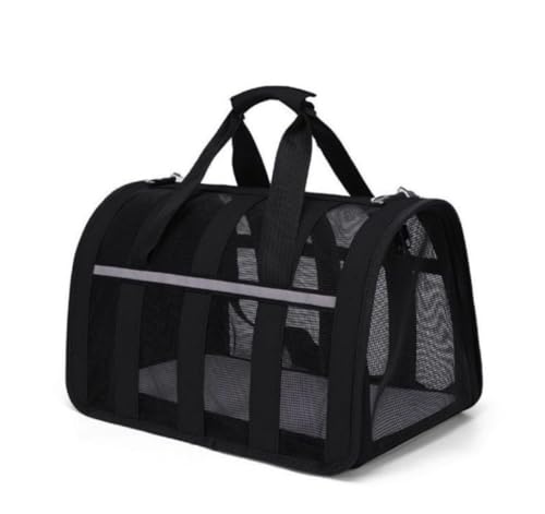 L[obO ybgp L{XgobO  L ^ P[X ʋC s e ubN 