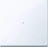 Lieferumfang: Merten 619125 Wippe für Tastermodul 1fach, aktivweiß glänzend, System M