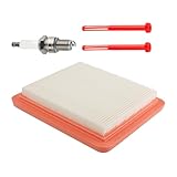 GCV 160 Fuel Filter Air Filter for Honda GCV160 GCV170 GCV190 GCV200 GC160 GC190 Engine 17211-Z8B-901 Air Filter 16952-Z8B-000 Fuel Filter Parts for Honda HRX217 HRN216 HRR216 Lawn Mower