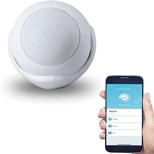 Protium Smart Wireless WIFI PIR Motion Sensor Detector Home ...