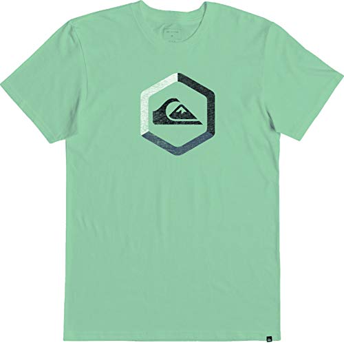 Quiksilver Men's Boldness II TEE, Green ASH, M