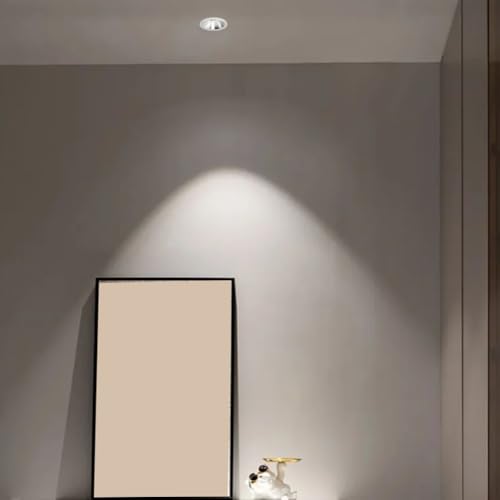 Foco empotrado de aluminio de 10W y 220V con enfoque orientable premium 5