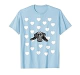 Black Lab Dog Theme Baby Boy Nursery Room Blue