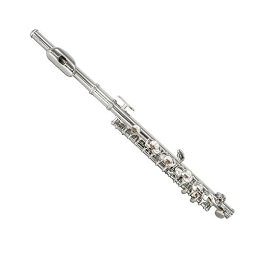 Paititi PTTPICC-N Piccolo Key of C with Case and Care Kit