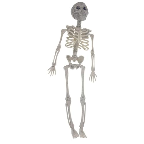 Figura de esqueleto móvil para interiores, esqueleto de cuerpo entero con articulación móvil, figura de esqueleto para Halloween, decoración de fiesta espeluznante