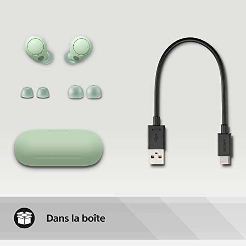 Sony WF-C700N - Écouteurs Bluetooth® sans Fil avec Reduction de Bruit (Compacts, Légers, avec connexion Multipoint, étanchéité IPX4, Jusqu'à 20 Heures d'autonomie, charge rapide, IOS & Android) - Vert