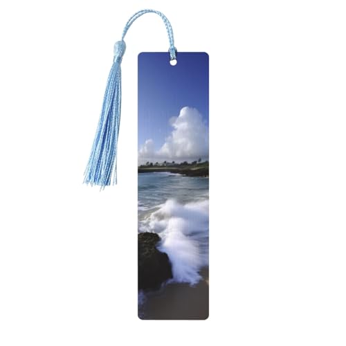 ؐ jp mxeB MO vGgR - {D̂߂̃r[`ubN}[N ^bZy_gtj[NȃnhChubN}[N NtgubN}[NANZT[