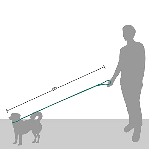 Friends Forever Extremely Durable Dog Rope Leash, Premium Quality Training Slip Lead, Reflective, Thick Heavy Duty, Sturdy Nylon, Comfortable For The Strong Large Medium Small Pets 6 Feet, Blue #TOP5