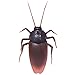 rongweiwang Control Remoto Mock Falso Juguete Cucaracha Juguete Insectos araña de Halloween Hormiga Insectos Broma Broma Truco Scary Juguete