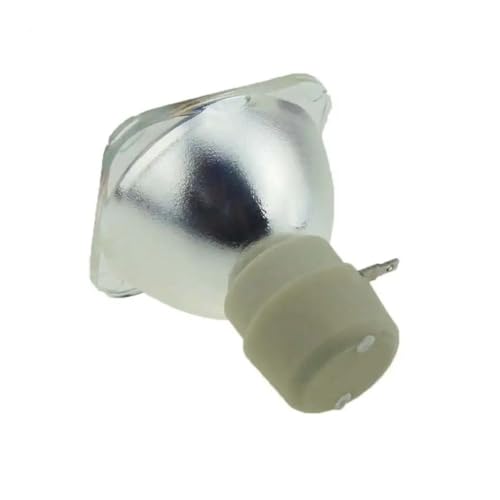 Ampoule projecteur JL811.001 pour vos soirées cinéma P1385W