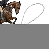 Outils de communication améliorés : permet une interaction transparente entre le cavalier et avec des méthodes éprouvées qui améliorent la communication, accélèrent l'acquisition des compétences et les adaptent aux objectifs d'entraînement axés sur la compétition, pour un progrès cohérent