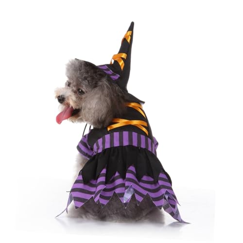 Disfraz Halloween Bruja para Perros Tamaño S miniatura 5