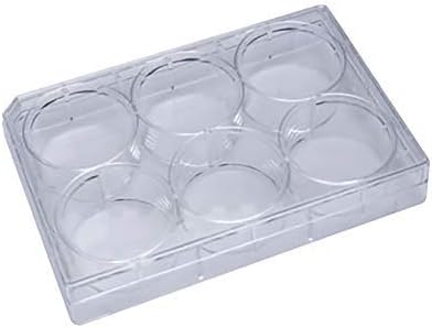 Grow Cells with Olympus 6-Well Tissue Culture TC Treated Plates, Sterile, Individually Wrapped, Flat Bottom Wells, 100 Treated Cell Culture Plates/Unit
