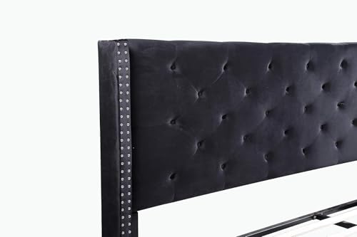 Image of Wooden Modern Upholstered Queen Size Bed for Bedroom | Wooden Double Bed Without Storage | Platform Cot Upholstered Bed with Upholstery Fabric | Engineered Wood | 6.5 x 5 Ft | Black Chosen