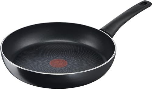 Tefal C27802 Generous Cook - Sartén (20 cm, revestimiento antiadherente, señal térmica, base de...