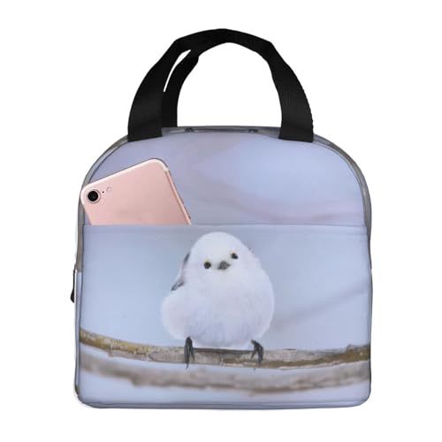 `obO V}GiK  ۗ ۉ ٓobO  RpNg O|Pbgt ~jg[gobO p肳obO fB[X Y ʋ ʊw s fB[X Y qp