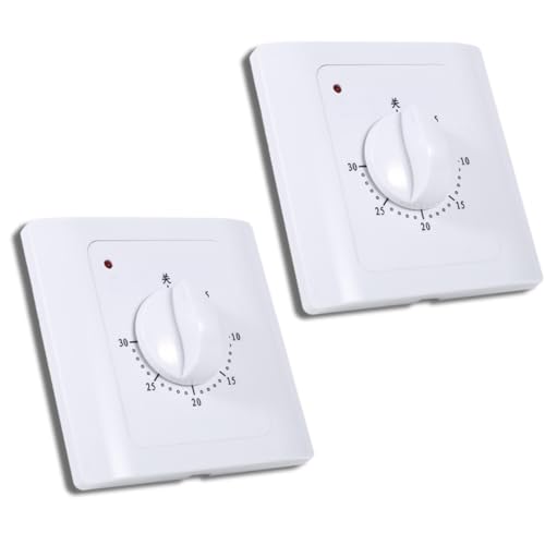 2 PCS Tempor de Temporizador, Tiempo de Electricidad de 30 Minutos Cuenta con el Tiempo de Cuenta eléctrica 220V 10A Continuador de Control de Interruptor programable para AC