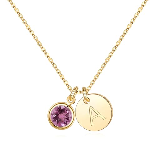 Hidepoo Initial Birthstone Necklace Gifts - Personalized Mothers Day Birthday Gift for Woman Wife Sister Grandma Mom February Amethyst Birthstone Jewelry for Women Disc Letter A Necklaces