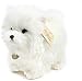 Morbido peluche lungo Pomerania Cucciolo 16 cm Realistico cartone animato Bambole di pezza Animali Regali di compleanno Arredamento per ufficio camera da letto
