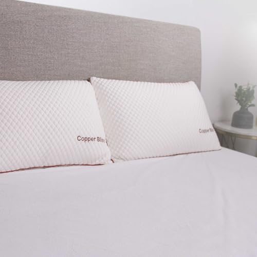 Almohada Fibra de poliéster Queen miniatura 2
