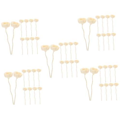 MAGICLULU 5sets Rattan Diffuser Sticks Flower Aroma Diffusers Essential Oil Sticks for Office 10pcs*5