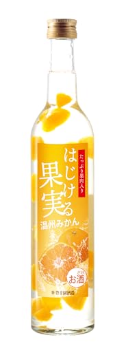 ͂ʎ B݂  500MLr 1{ LK