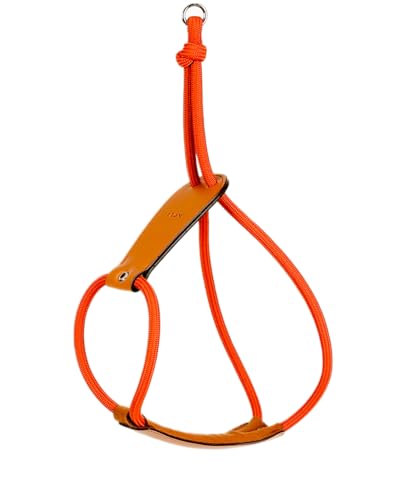 HOZI GbZVn[lX nhCh  n[lX p ybgn[lX ɂ [vn[lX  炩 􂦂 y Ȃ ^ ^ ^ n[lX ̎q j̎q ɂ _炩n[lX zW 