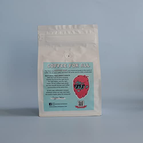 Conquer The Day - Ethiopian, Medium Roast (Whole Bean) miniatura 2