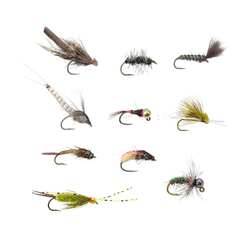 Aymzbd tCtBbVOA[ 10 ނa Nbs[ oX Cނp