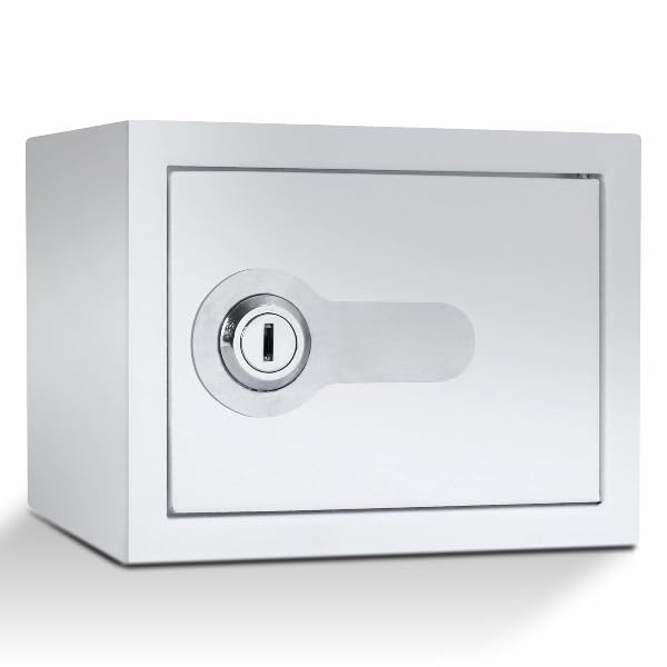 Maxsera Money Bank, Small Safe For Kids and Home Use, Mechnical Key Lock Safe,Coin Box for Kids/Children, Cash Box with Lock and Coin Tray for Adults and Kids Mini Cash Metal Money Box (B0DGDJSF3H) Amazon Price History, Amazon Price Tracker