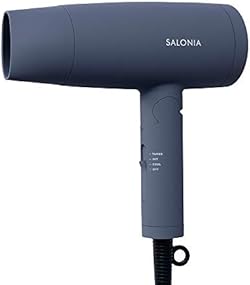 SALONIA サロニア | スピーディーイオン ドライヤー 【グレー】 ヘアドライヤー 大風量 速乾 軽量 マイナスイオン SL-013GR