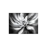 [CADEAU D'ART MURAL PARFAIT] - Impressions d'art de définition sur toile. Cadeaux parfaits pour Noël, Nouvel An, mariage, anniversaire, anniversaire de mariage, Thanksgiving, fête des mères, fête des pères, Saint-Valentin, ami, parents, partenaire commercial, famille, amoureux, etc