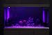 Hygger Aquarium Lighting Lámpara LED para Acuario con Temporizador, Regulable, luz LED...