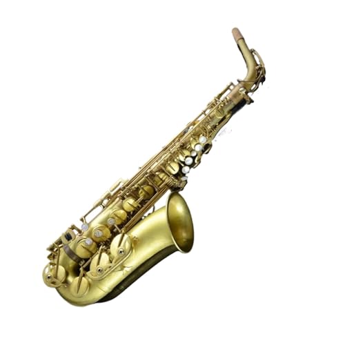 tFbViTbNX vtFbVi uX }[u AgTbNXiP[XA}EXs[XAXgbvtj