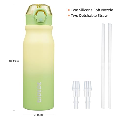 Image of BJPKPK 25 oz Insulated Water Bottle, Straw, Handle, Stainless Steel Flask | Leak Proof Locking Lid, Thermal, Double Wall Vacuum, Keeps Hot /Cold, BPA Free, Dishwasher Safe, Travel & Sports, Lime