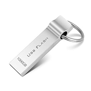 Licyley USB Stick 1TB USB 3.0 Speicherstick 1000GB Externer Speichererweiterung Metall Audio-Kabel 7,62 m 6.35mm TRS Schwarz