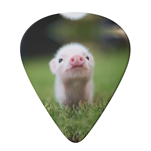Ensemble de 6 médiators de guitare Baby Pig pour guitare acoustique, guitare électrique, basse, ukulélé – fin, moyen et… - Les Beatles, Paul McCartney, John Lennon, RIngo Starr, George Harrison Ensemble de 6 médiators de guitare Baby Pig pour guitare acoustique, guitare électrique, basse, ukulélé - fin, moyen et… – Image 4