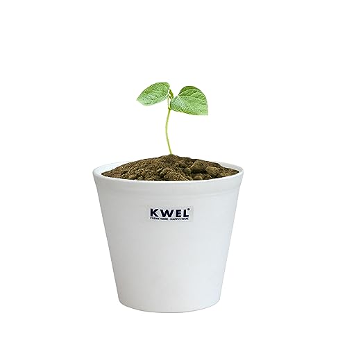Image of KWEL N Pot for Home Garden, White, Pack of 24 | Outdoor Balcony, Nursery, Flower Planting