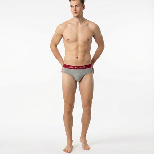 Image of Levi's Cotton Elite Brief | Premium Men's Brief Underwear | 4-Way Stretch | Outer Elastic Waistband | Double-Layered Pouch | Style 073 | Pack of 1