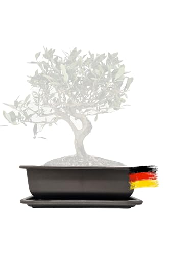 Genki-Bonsai Pflanzschale 22 x15,5 x 7,5 cm aus Kunststoff – rechteckiger Pflanzkübel mit Untersetzer, frostbeständig, mit Drainagelöchern – für Bonsai, Kräuter, Zimmer- & Balkonpflanzen