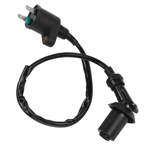 Amazon | JetsetMoto 点火コイル ホンダ用 Dio AF18 AF28 AF61 AF67