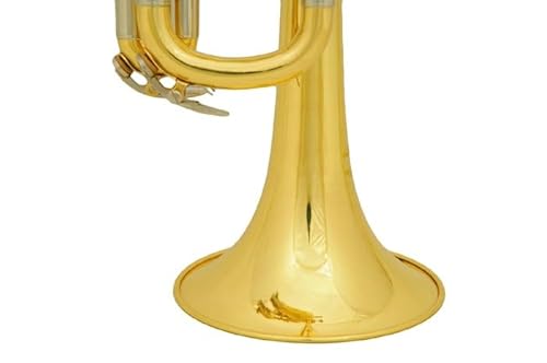 Trompete Glory Brass Bb com estojo profissional + kit de cuidados, dourado